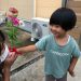 たねだんごのお花畑が出来たよ！